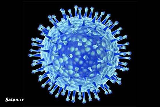 ویروس هرپس سیتومگالوو ویروس دشمن طول عمر دشمن بینایی دانشمندان دانشگاه کمبریج
