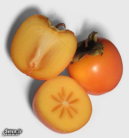خرمالو ؛ آنچه از خواص و مزایای درمانی و مضرات آن نمی دانید oliv2