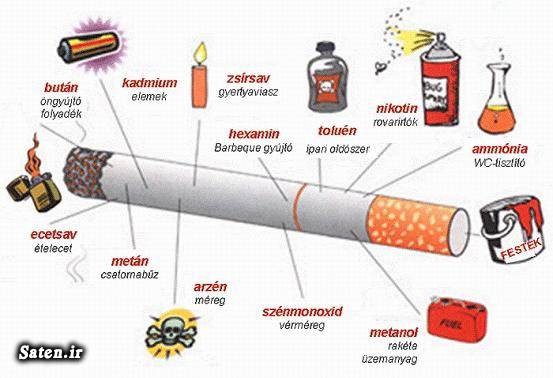 مضرات سیگار مجله سلامت قیمت سیگار سیگار برگ