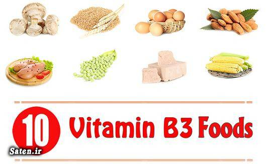 نیاسین متخصص تغذیه خوش اخلاق خواص قارچ خواص تخمه آفتابگردان خواص بادام زمینی vitamin B3