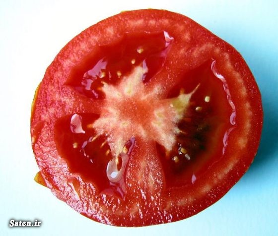 نیترات کشت گوجه فرنگی قیمت گوجه فرنگی درمان سرطان خواص گوجه فرنگی پیشگیری از سرطان
