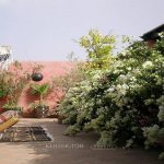 سفر به مراکش و اقامت در خانه و هتل های سنتی لاکچری +عکس Luxury travel, Vision Future Luxury, تور مراکش, جاهای دیدنی مراکش, دکوراسیون سنتی, زیباترین دکوراسیون, کازابلانکا مراکش, لاکچری, لوکس ترین هتل, هتل لوکس جهان