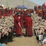 قصاب میانمار چگونه مسلمانان را سلاخی میکند؟ + تصاویر Ashin Wirathu, اخبار میانمار, بیوگرافی آشین ویراتو, دشمنان مسلمانان, راهب بودایی, راهبه کیست, سوزاندن مسلمانان میانمار, علت کشتار مسلمانان میانمار, مسلمانان میانمار شیعه هستند یا سنی, میانمار کشتار مسلمانان