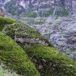 مخمل کوه کجاست؟ +آدرس و مسیر آدرس مخمل کوه, جاهای دیدنی ایران, جاهای دیدنی ایران در تابستان, جاهای دیدنی خرم آباد, جاهای دیدنی لرستان, زیباترین مناطق توریستی دنیا, زیباترین مناطق گردشگری, عکس مخمل کوه لرستان, هفت حوض لرستان