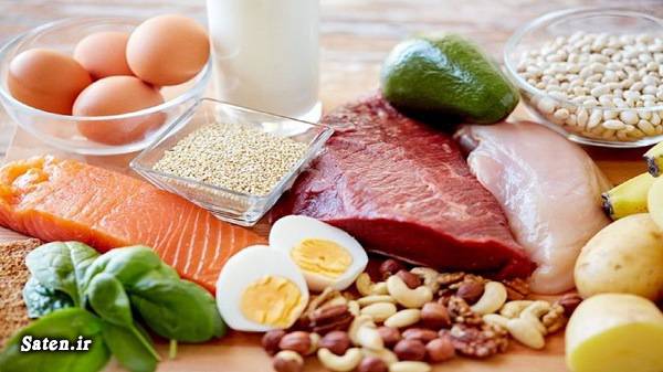 ویروس کرونا منابع غذایی پروتئین مجله سلامت کرونا در جهان کرونا سلامت نیوز خوراکی های انرژی زا تقویت سیستم ایمنی بدن‌ پیشگیری از کرونا بیماری کرونا