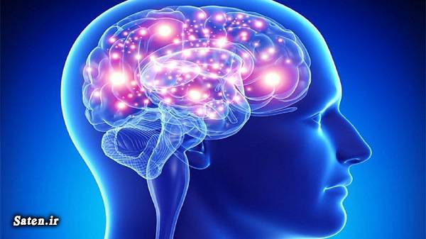 مراقبت از مغز مجله سلامت روش مراقبت از مغز راه های مراقبت از مغز رازهای جوان ماندن مغز تقویت مغز در طب سنتی پیشگیری آلزایمر افزایش انرژی مغز