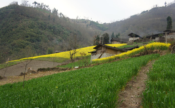 روستای زرگر آبیک ؛ مردمانی با اصالت اروپایی اخبار قزوین, اصالت اروپایی, بهترین مناطق توریستی, توریستی, توریستی ایران, جاذبه گردشگری, جاهای دیدنی قزوین, روستاهای توریستی, روستای زرگر آبیک, روستای زرگر آبیک با زبان محلی رومانو, روستای زرگر شهرستان آبیک قزوین, روستای گردشگری, زبان رومانو چیست, زبان رومانو روستای زرگر, عکس های روستای زرگر آبیک, گردشگری ایران, مکان های توریستی ایران, مناطق گردشگری ایران