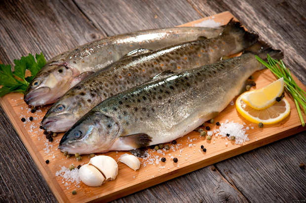 محصولات کلاژن سازی پوست کلاژن ساز فواید ماهی برای انسان فواید گوشت ماهی سلامت نیوز خواص ماهی برای پوست خواص پوست ماهی برای زخم چه ماده ای کلاژن ساز است