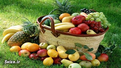 میوه های پاییزی مجله سلامت کاهش وزن فصل پاییز غذاهای فصل پاییز سیب سلامت لثه ها رژیم کاهش وزن خواص میوه ها خواص گل کلم خواص کدو تنبل خواص سیب خواص سبزیجات بهترین روش کاهش وزن انواع سیب ارزش غذایی سیب