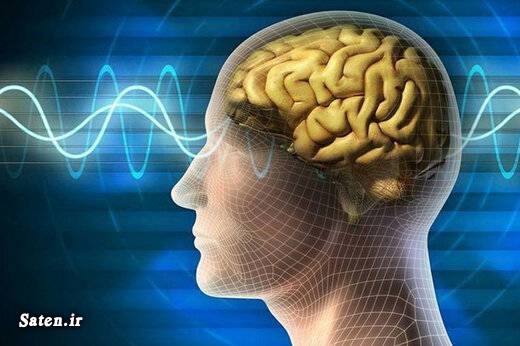 متخصص روانشناسی علل کاهش حافظه روشهای تقویت حافظه روانشناسی دکتر روانشناس خوب دکتر روانشناس بالینی دانستنی های روانشناسی حفظ سلامت مغز حافظه کوتاه مدت حافظه افزایش حافظه افزایش انرژی مغز