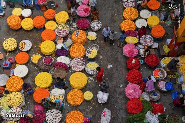 گل و گیاه عکس جالب جالب و دیدنی توریستی هند بازار گل و گیاه