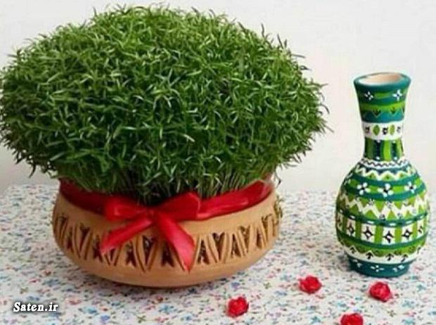 طرز تهیه سبزه عید با عدس آموزش سبزه عید, زمان کاشت سبزه عید, سبزه عید با عدس, سبزه عید با عدس چند روز طول میکشد