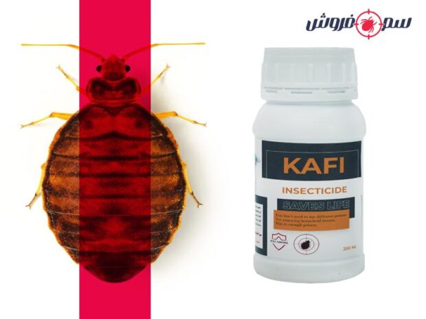 ساس از کجا میاد؟ قوی ترین سم برای ساس چیست؟ سم ساس کافی – Kafi : بهترین سم برای ساس