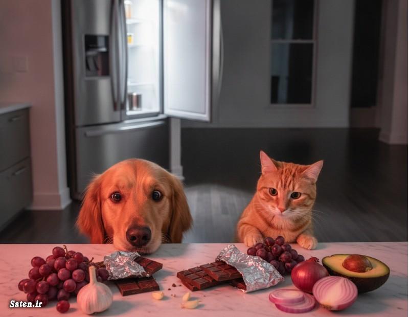 غذاهای ممنوعه برای گربه و سگ